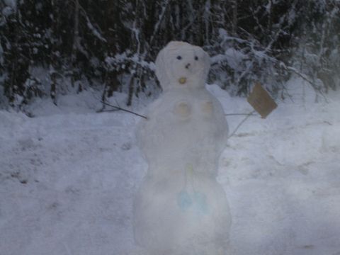 1990 Ford Bronco - A snowman stands in a snowy wooded area, adorned with stick arms and a small brown sign.