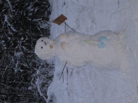 1990 Ford Bronco - A snowman stands in a snowy outdoor environment, adorned with simple features.