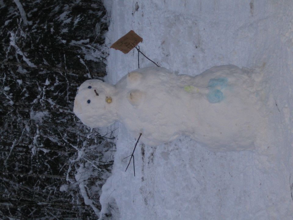 Snowman with twig arms and a tag on a stick, next to snowy trees