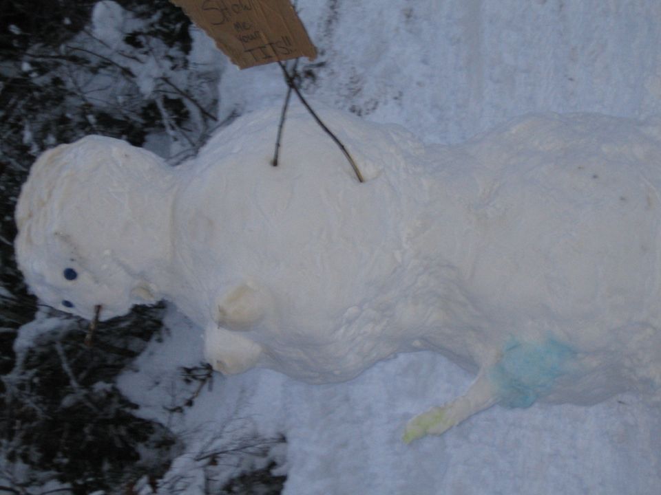 Snowman with a sign that says "Show me your tits!"