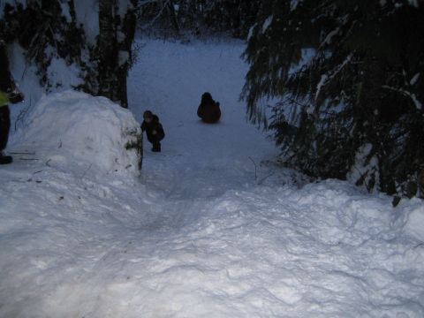 1990 Ford Bronco - Children enjoy a winter day sledding down a snow-covered slope.
