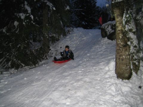 1990 Ford Bronco - A child enjoys a winter day sledding down a snow-covered slope.