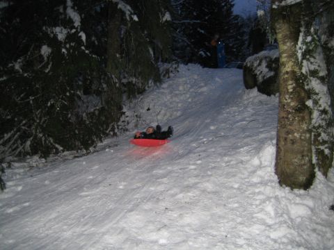 1990 Ford Bronco - Someone enjoys sledding down a snowy hill in a wooded area during the evening.