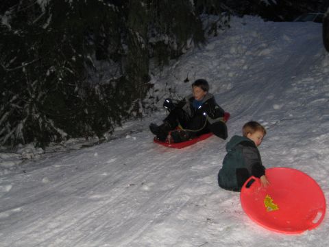 1990 Ford Bronco - Two children enjoy a winter day sledding down a snow-covered slope.
