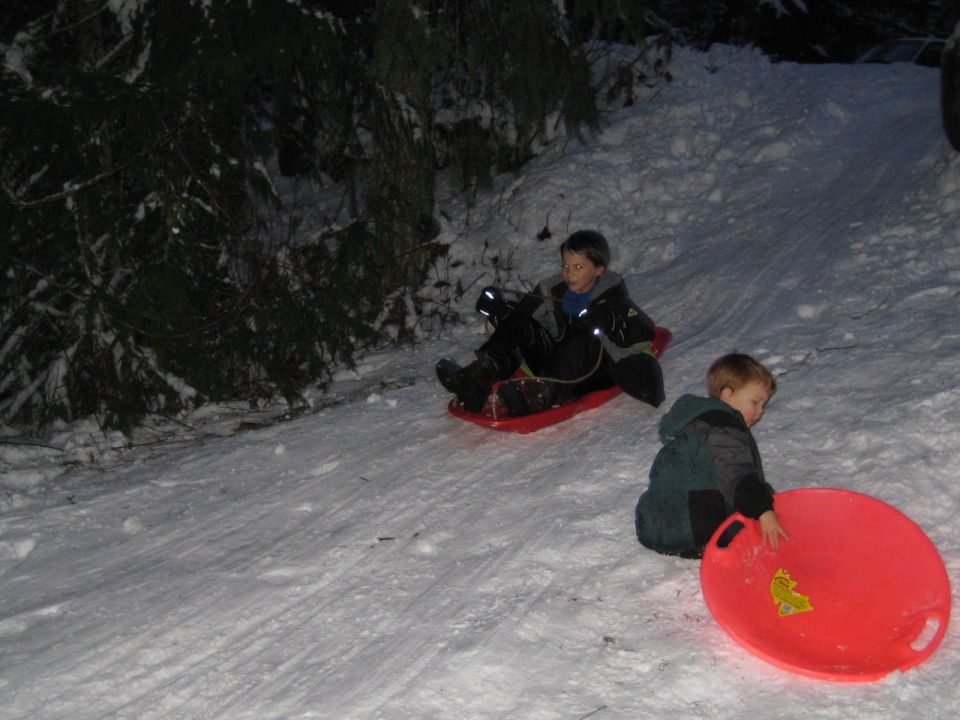 Children sledding down a snowy hill