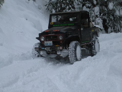 1990 Ford Bronco - A black off-road vehicle navigates a snowy terrain, displaying 'WILDLIFE RELEASE VEHICLE' on its windshield.