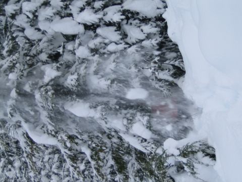 1990 Ford Bronco - A red vehicle is barely visible amidst snow-covered trees and a large snowdrift.