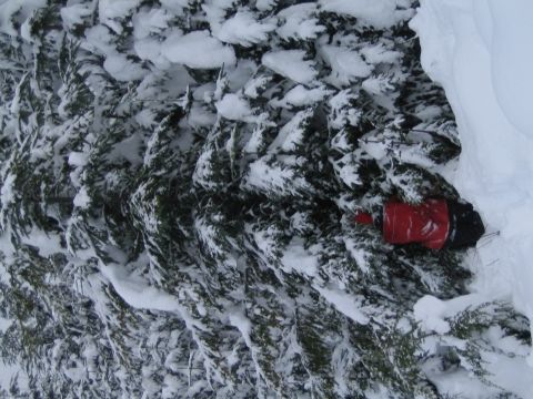 1990 Ford Bronco - A red gas can is partially buried in snow among evergreen trees.