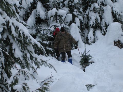 1990 Ford Bronco - Two individuals navigate a snowy forest landscape, surrounded by snow-laden trees.