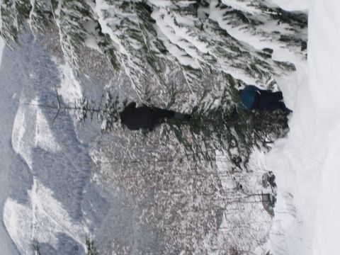 1990 Ford Bronco - A winter scene with snow-covered trees and ground, a dark patch of water.