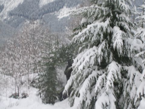 1990 Ford Bronco - A dark vehicle is barely visible amidst snow-covered trees and a wintery mountain backdrop.