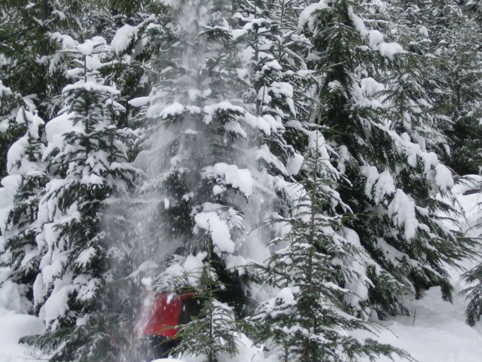 Red vehicle partially obscured by snow and trees
