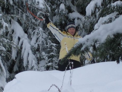 1990 Ford Bronco - A person stands in a snow-covered forest, holding a rope above their head.