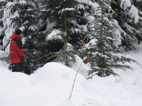 1990 Ford Bronco - Two individuals are in a snowy forest, surrounded by snow-laden evergreen trees. One person wears a red jacket.