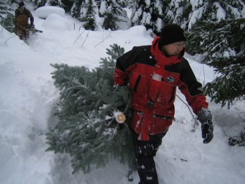 1990 Ford Bronco - People cutting a Christmas tree in a snowy forest with a chainsaw.