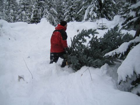 1990 Ford Bronco - A person carries a freshly cut Christmas tree through a snowy forest landscape.