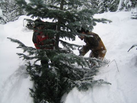 1990 Ford Bronco - Two individuals are seen in a snow-covered forest, appearing to cut down a pine tree.