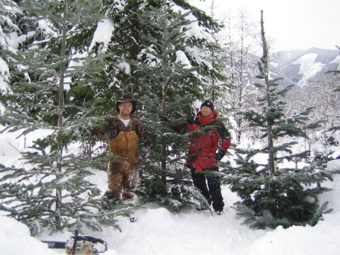 1990 Ford Bronco - Two people in a snowy forest with Christmas trees. A chainsaw is visible in the foreground.