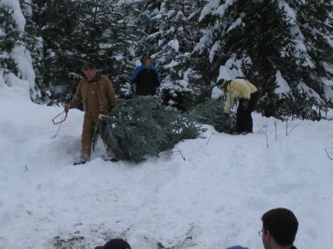 1990 Ford Bronco - A group of people are in a snowy forest, cutting down a large Christmas tree. One person is holding a saw.