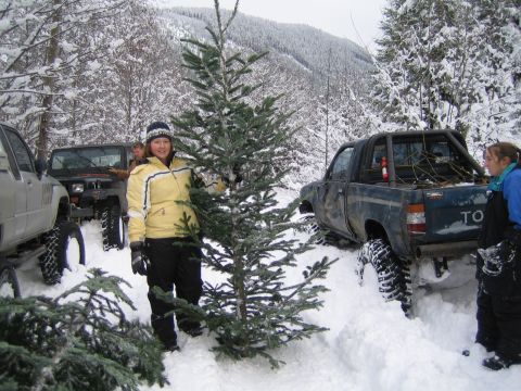 1990 Ford Bronco - Several off-road vehicles are parked in a snowy forest, with people preparing to cut down Christmas trees.