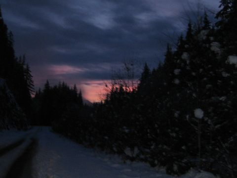 1990 Ford Bronco - A snowy road winds through a dark forest as the sun sets, casting a colorful glow on the clouds.