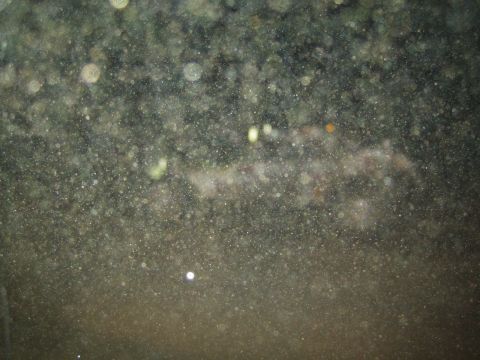 1990 Ford Bronco - heavily blurred, dark nighttime image dominated by water-spot and dust artifacts, with faint indistinct shapes barely visible.