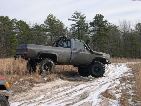 1978 Chevrolet C/K Pickup - Just hangin out