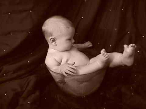 1986 Ford Bronco - A baby is posed in a bowl, with a dark, textured background.