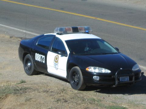 Black and white police car numbered 08873 parked on a roadside shoulder