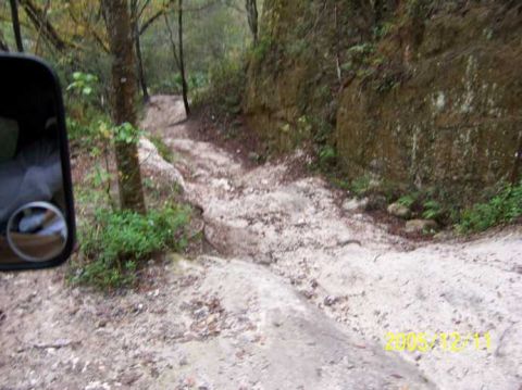 1989 Ford Bronco - Driving on a rough dirt trail through a wooded area.