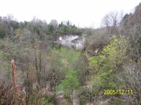 1989 Ford Bronco - A view of a wooded hillside and quarry, with a date stamp indicating December 11, 2005.