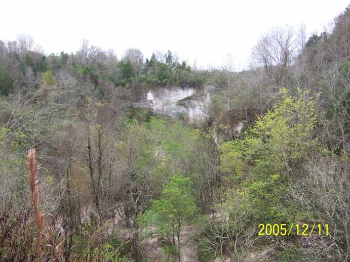 Wooded hillside with quarry and date stamp 2005/12/11