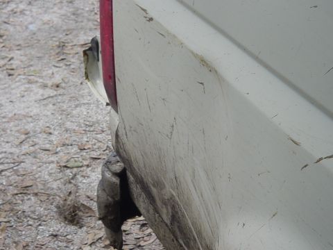 1989 Ford Bronco - Close-up of the rear corner of a mud-splattered 1989 Ford Bronco.
