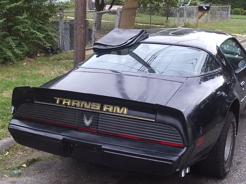 1979 Pontiac Trans Am - The rear of a black 1979 Pontiac Trans Am shows the 'TRANS AM' badging and a spoiler.
