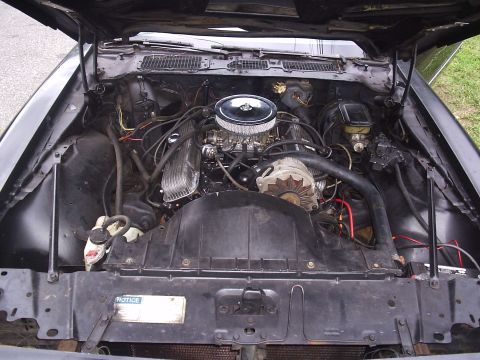 1979 Pontiac Trans Am - Engine bay of a 1979 Pontiac Trans Am, showing the V8 engine and associated components.