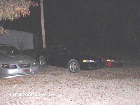 1996 Ford Mustang - Three Ford Mustangs are parked outside at night, with a silver one in the foreground.
