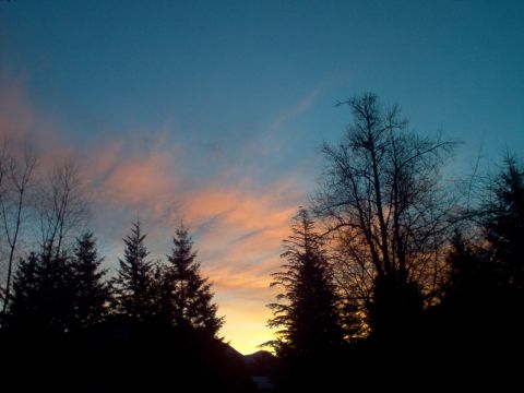 2001 Ford Taurus - Sunset sky with clouds and silhouetted trees.