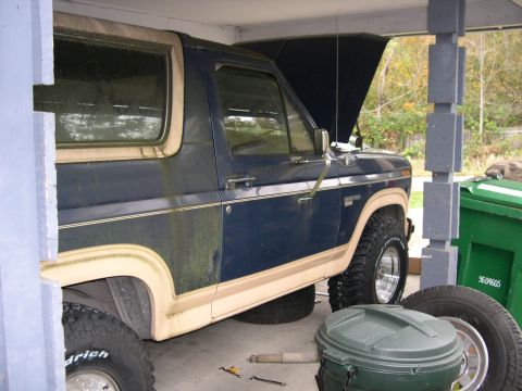 1986 Ford Bronco - Side view of a 1986 Ford Bronco with its hood up, parked indoors.