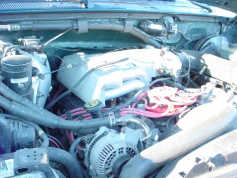 1995 Ford Bronco photo