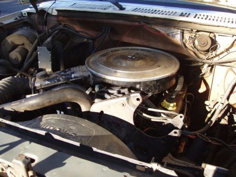 1985 Ford Bronco - 351 V8 power!