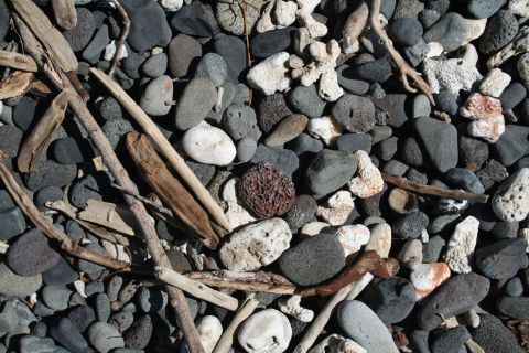 1979 Ford Bronco - Beach scene with driftwood and an assortment of rocks and coral fragments.