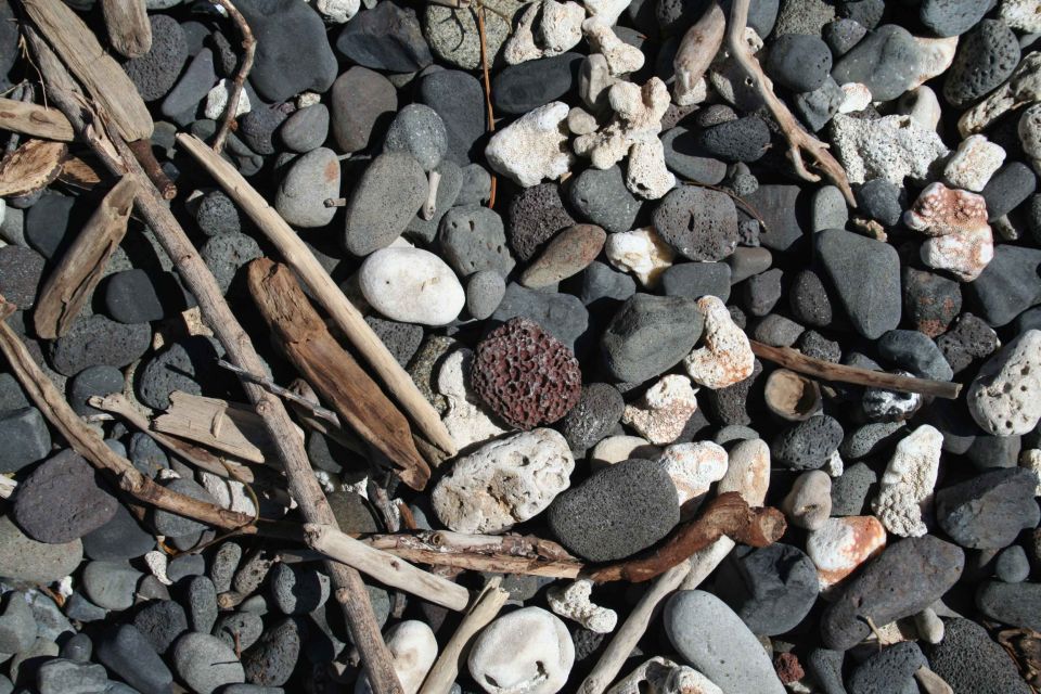 Driftwood sticks and various rocks, including coral, on a beach