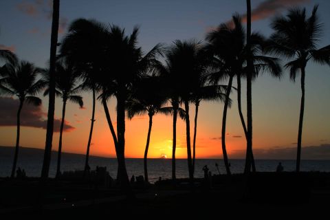 1979 Ford Bronco - A beautiful sunset scene with palm trees and the ocean in Hawaii.