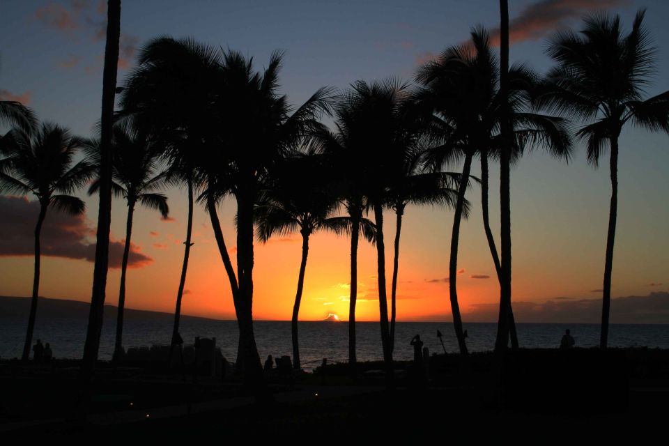 Palm trees silhouetted against a sunset over the ocean