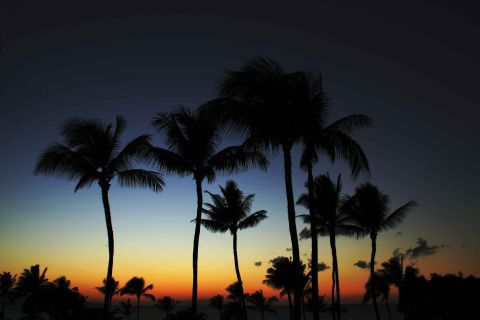 1979 Ford Bronco - Palm trees are silhouetted against a vibrant sunset sky with orange and yellow hues near the horizon.