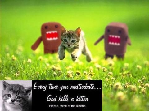 1996 Ford Probe - A kitten runs through a field of grass, pursued by two Domo-kun figures, with a text overlay about kittens.