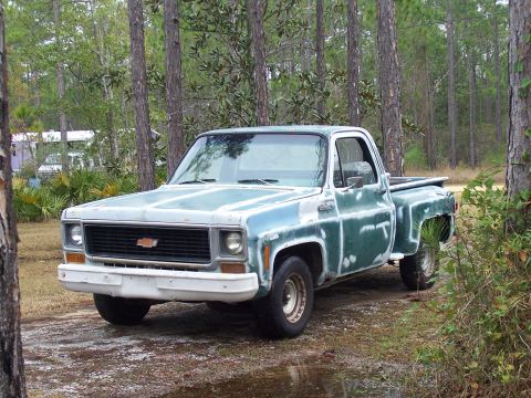 1974 Chevrolet C/K Pickup - This 1974 Chevrolet C/K Pickup truck is seen in a wooded area, showing its distinctive body style.