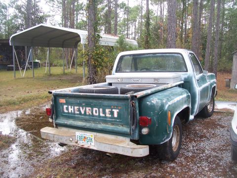 1974 Chevrolet C/K Pickup photo