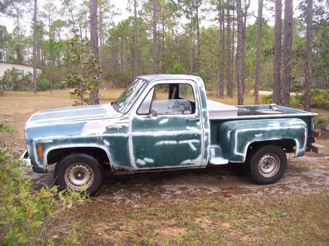 1974 Chevrolet C/K Pickup photo