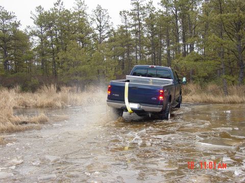 1995 Dodge 1500 - A blue Ford F-250 navigates through a watery, icy terrain with trees in the background.